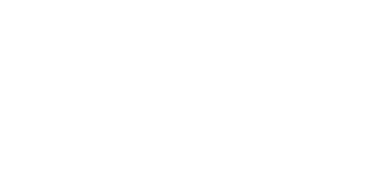 Skip Viragh Foundation